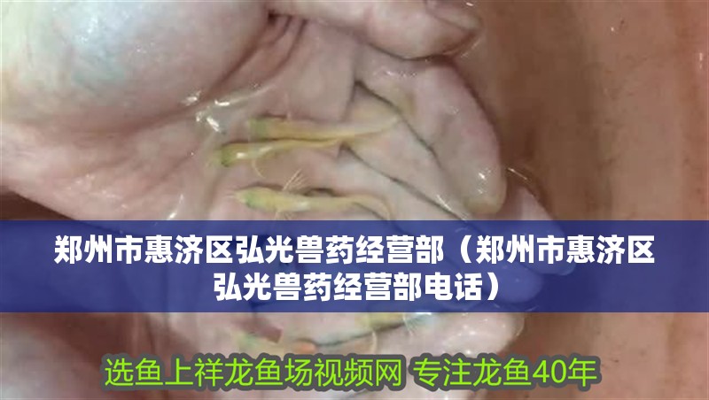 鄭州市惠濟區(qū)弘光獸藥經營部（鄭州市惠濟區(qū)弘光獸藥經營部電話）