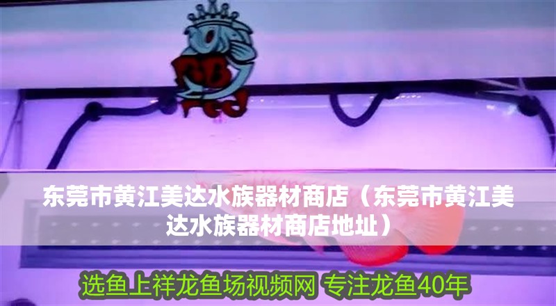 東莞市黃江美達水族器材商店（東莞市黃江美達水族器材商店地址）