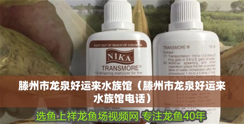 滕州市龍泉好運來水族館（滕州市龍泉好運來水族館電話）