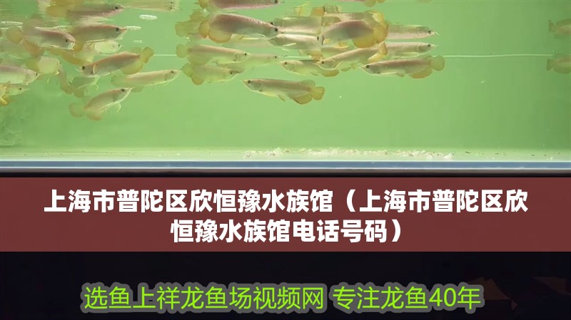 上海市普陀區(qū)欣恒豫水族館（上海市普陀區(qū)欣恒豫水族館電話號碼）