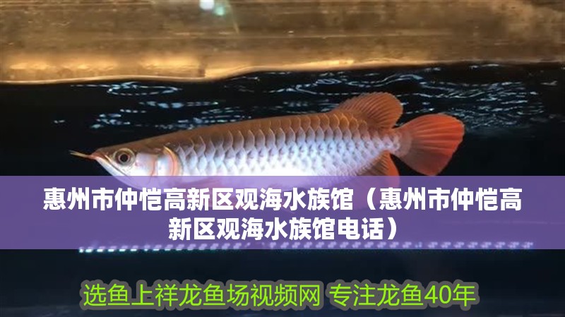 惠州市仲愷高新區(qū)觀海水族館（惠州市仲愷高新區(qū)觀海水族館電話(huà)）