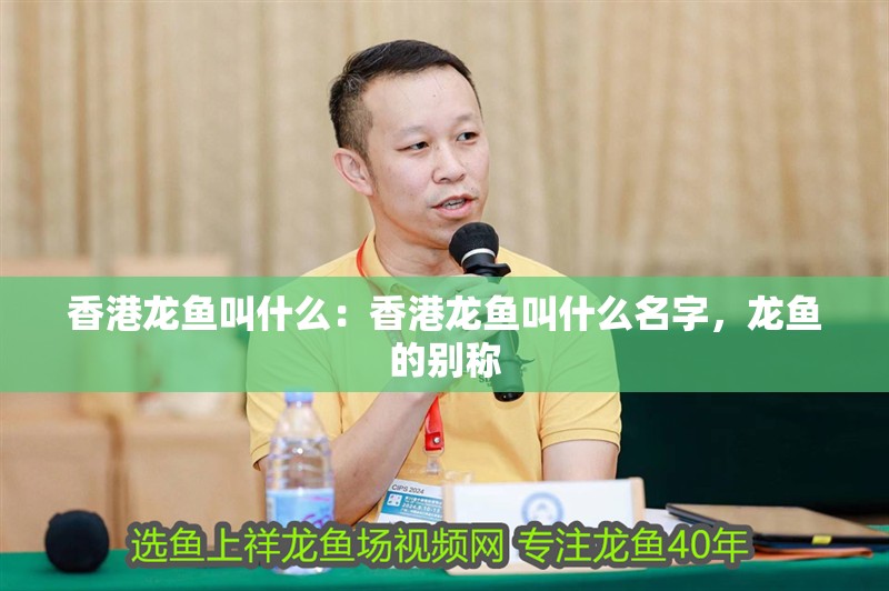 香港龍魚叫什么：香港龍魚叫什么名字，龍魚的別稱