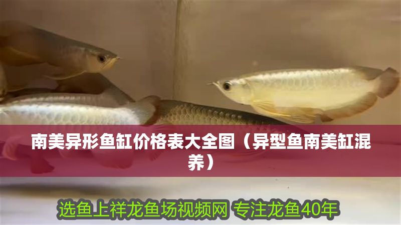南美異形魚缸價格表大全圖（異型魚南美缸混養）