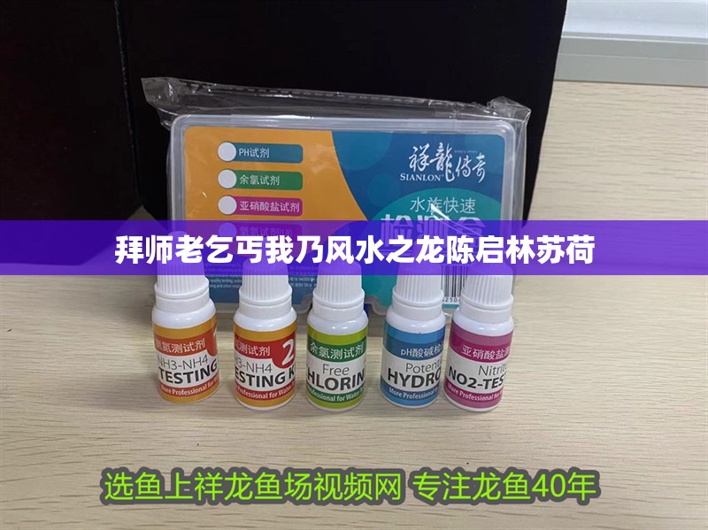 拜師老乞丐我乃風水之龍陳啟林蘇荷