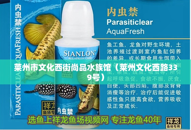 萊州市文化西街尚品水族館（萊州文化西路339號）