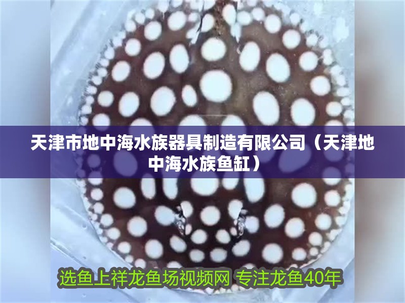 天津市地中海水族器具制造有限公司（天津地中海水族魚缸）