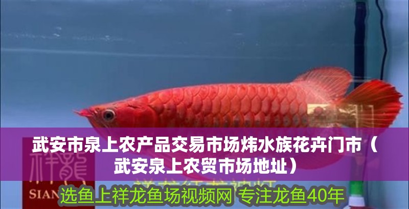 武安市泉上農(nóng)產(chǎn)品交易市場煒?biāo)寤ɑ荛T市（武安泉上農(nóng)貿(mào)市場地址）