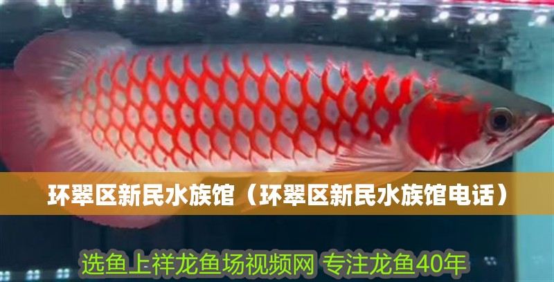 環翠區新民水族館（環翠區新民水族館電話）