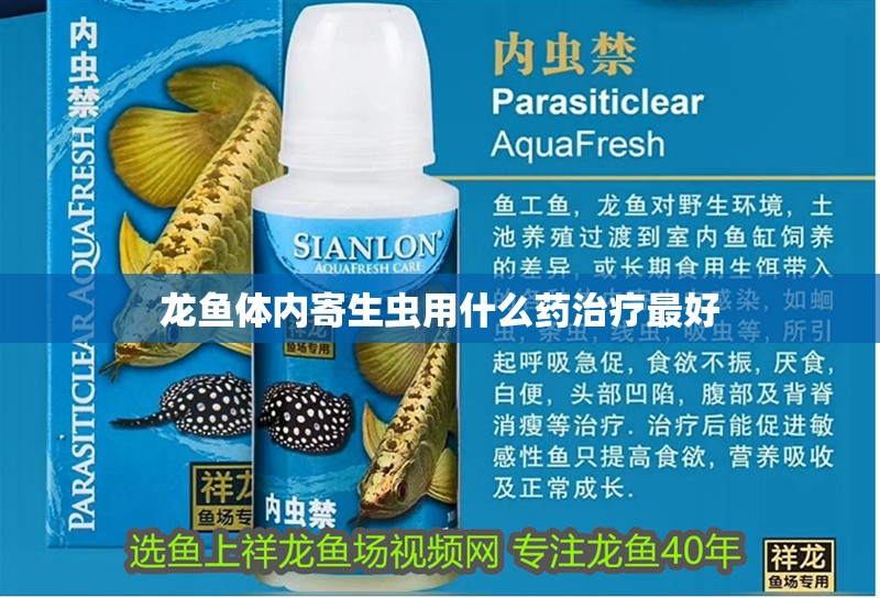 龍魚(yú)體內(nèi)寄生蟲(chóng)用什么藥治療最好