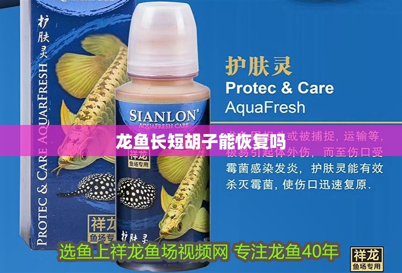 龍魚長短胡子能恢復嗎