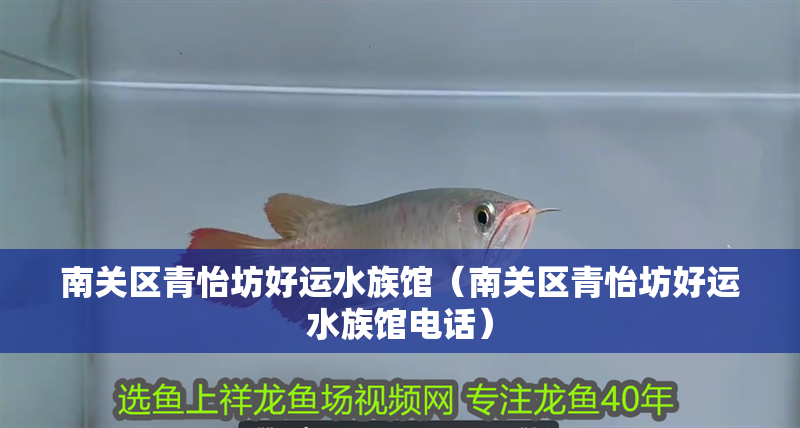 南關(guān)區(qū)青怡坊好運水族館（南關(guān)區(qū)青怡坊好運水族館電話）