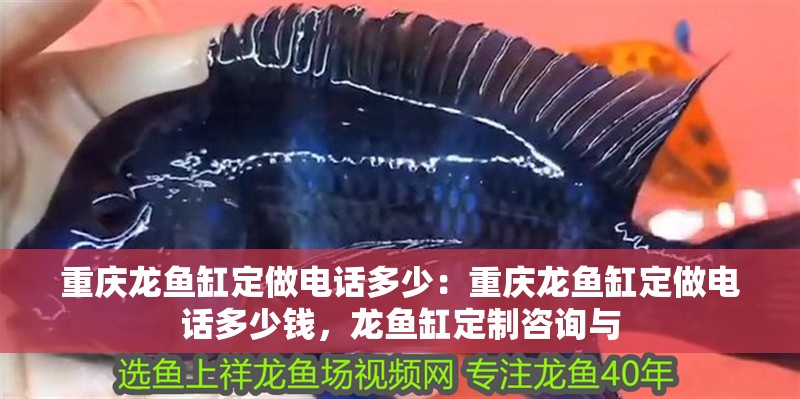 重慶龍魚缸定做電話多少：重慶龍魚缸定做電話多少錢，龍魚缸定制咨詢與