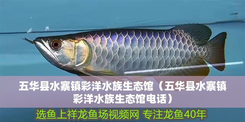 五華縣水寨鎮(zhèn)彩洋水族生態(tài)館（五華縣水寨鎮(zhèn)彩洋水族生態(tài)館電話）