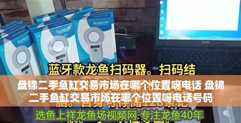 盤錦二手魚缸交易市場在哪個位置呀電話 盤錦二手魚缸交易市場在哪個位置呀電話號碼