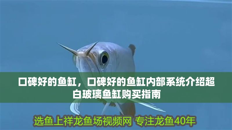 口碑好的魚缸，口碑好的魚缸內部系統介紹超白玻璃魚缸購買指南