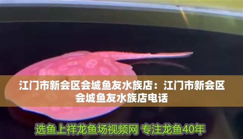 江門市新會區會城魚友水族店：江門市新會區會城魚友水族店電話
