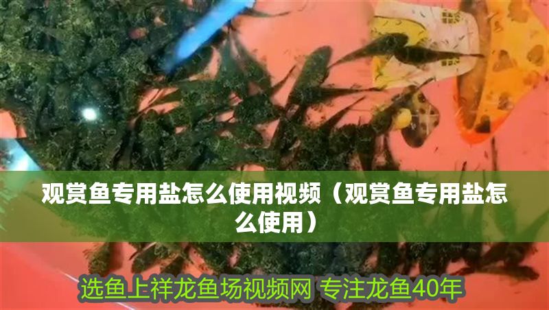 觀賞魚專用鹽怎么使用視頻（觀賞魚專用鹽怎么使用）
