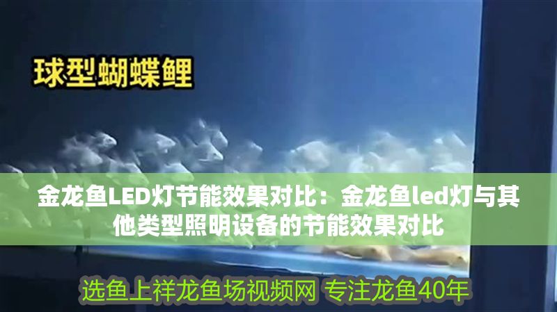 金龍魚LED燈節能效果對比：金龍魚led燈與其他類型照明設備的節能效果對比