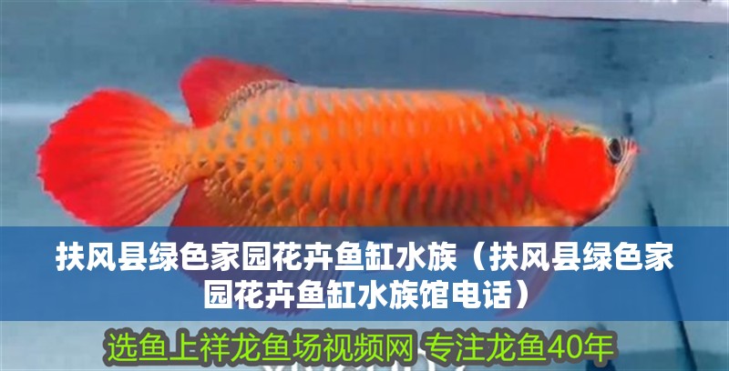 扶風縣綠色家園花卉魚缸水族（扶風縣綠色家園花卉魚缸水族館電話）