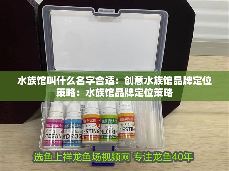 水族館叫什么名字合適：創意水族館品牌定位策略：水族館品牌定位策略