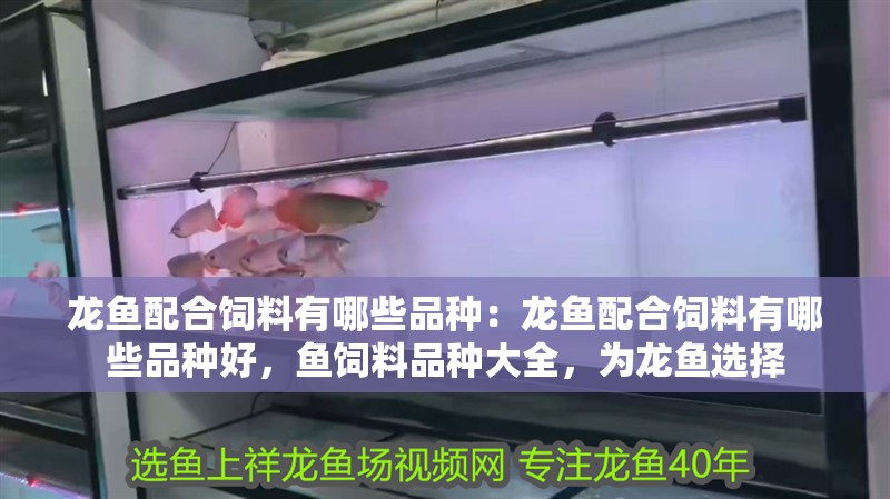 龍魚配合飼料有哪些品種：龍魚配合飼料有哪些品種好，魚飼料品種大全，為龍魚選擇