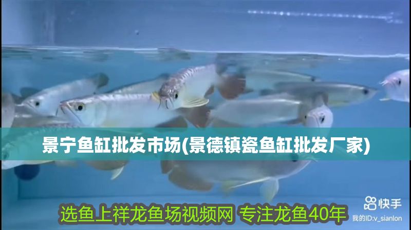 景寧魚缸批發(fā)市場(景德鎮(zhèn)瓷魚缸批發(fā)廠家)