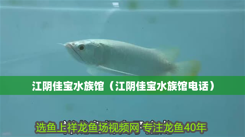 江陰佳寶水族館（江陰佳寶水族館電話）