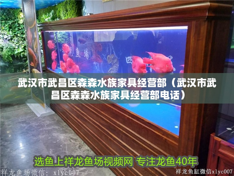 武漢市武昌區森森水族家具經營部（武漢市武昌區森森水族家具經營部電話）