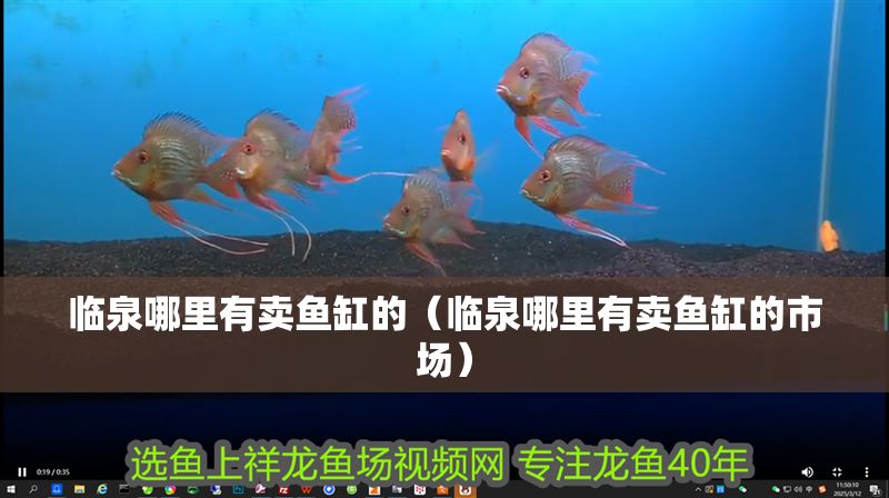 臨泉哪里有賣魚缸的（臨泉哪里有賣魚缸的市場(chǎng)） 臨泉哪里有賣魚缸的（臨泉哪里有賣魚缸的市場(chǎng)） 錦鯉魚百科 第1張