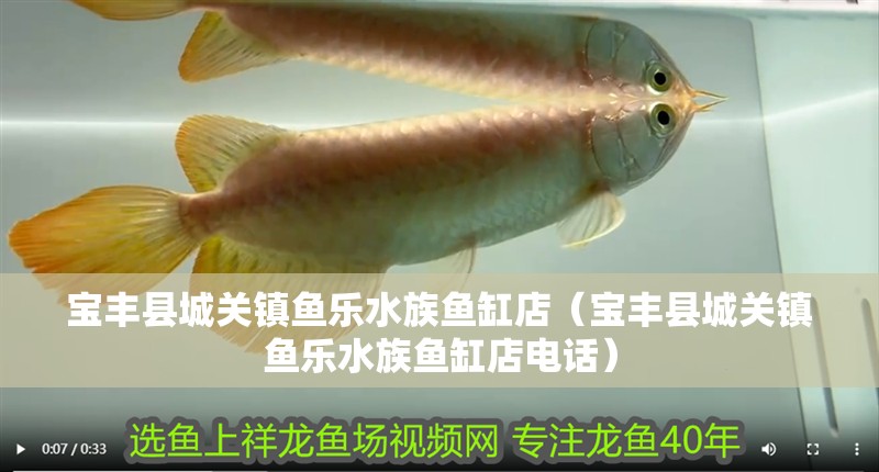 寶豐縣城關鎮魚樂水族魚缸店（寶豐縣城關鎮魚樂水族魚缸店電話）