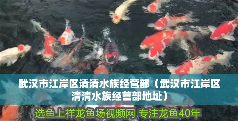 武漢市江岸區清清水族經營部（武漢市江岸區清清水族經營部地址）