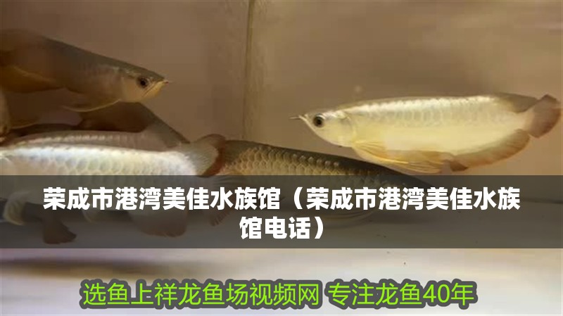 榮成市港灣美佳水族館（榮成市港灣美佳水族館電話）