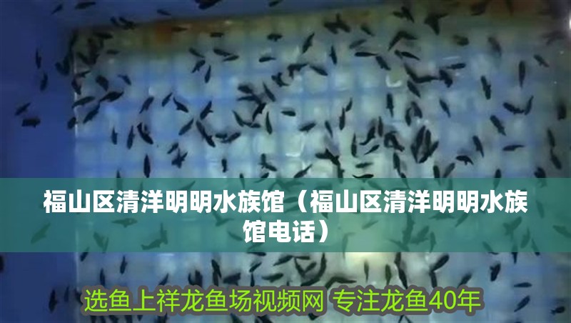 福山區(qū)清洋明明水族館（福山區(qū)清洋明明水族館電話）