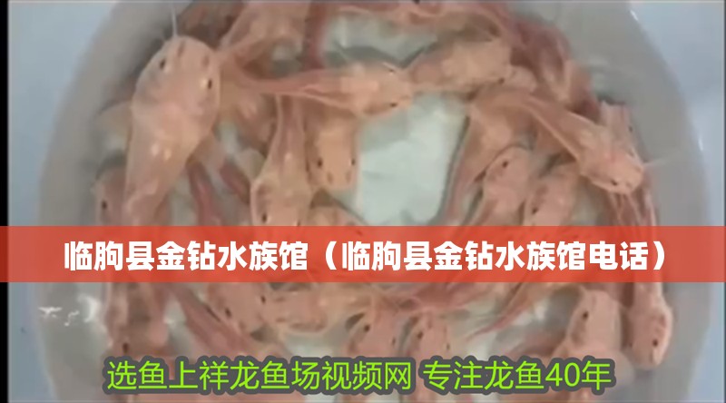 臨朐縣金鉆水族館（臨朐縣金鉆水族館電話）