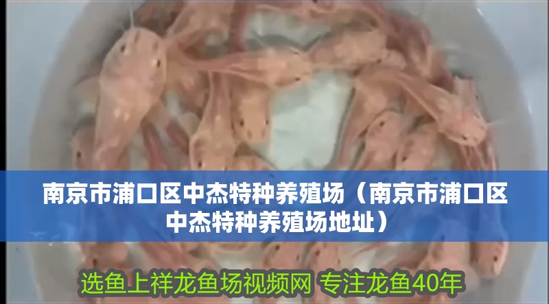 南京市浦口區中杰特種養殖場（南京市浦口區中杰特種養殖場地址）