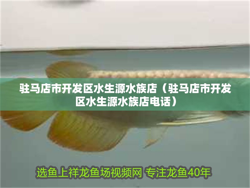 駐馬店市開發區水生源水族店（駐馬店市開發區水生源水族店電話）