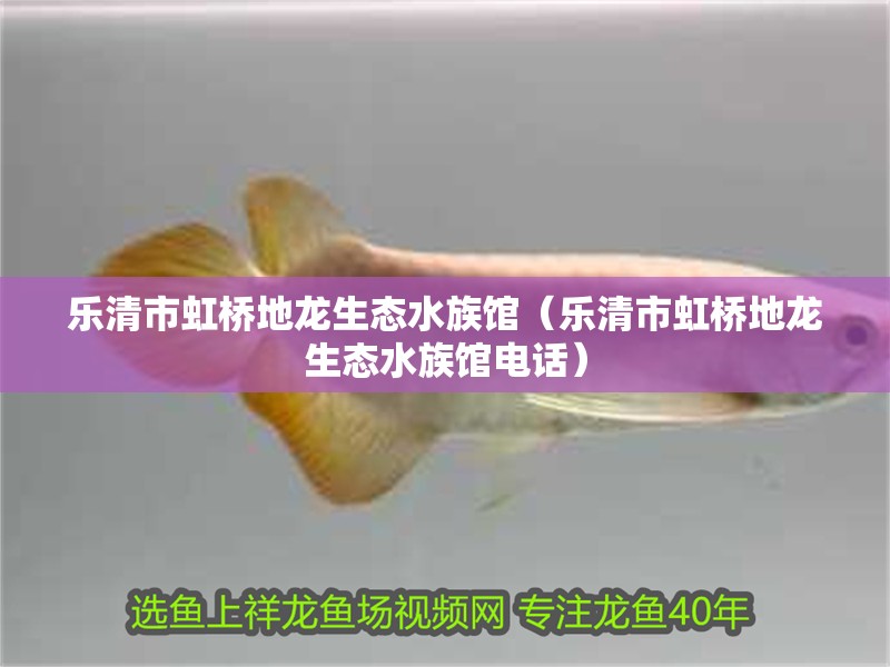 樂清市虹橋地龍生態水族館（樂清市虹橋地龍生態水族館電話）