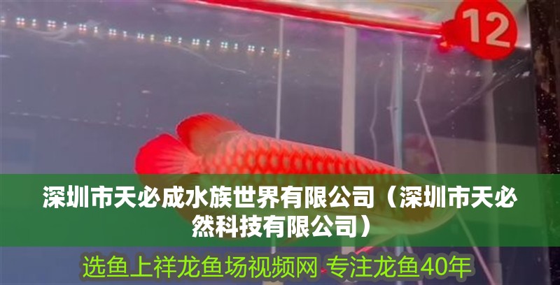 深圳市天必成水族世界有限公司（深圳市天必然科技有限公司）