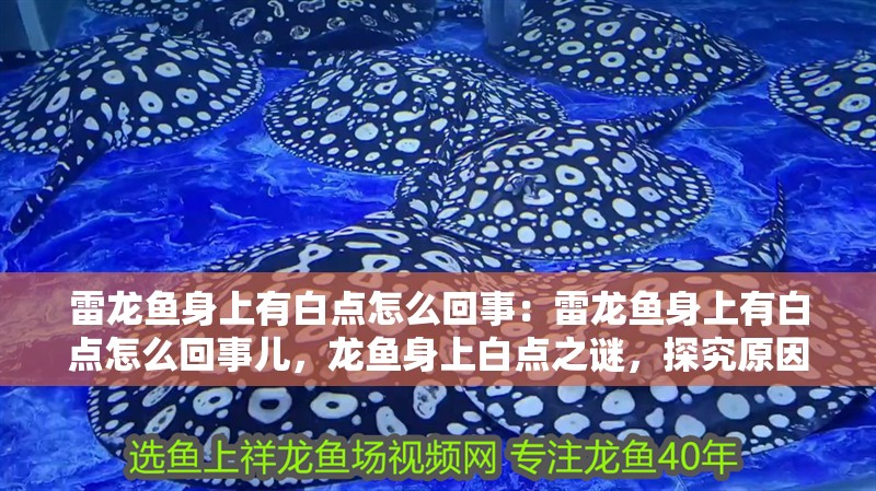 雷龍魚身上有白點怎么回事：雷龍魚身上有白點怎么回事兒，龍魚身上白點之謎，探究原因