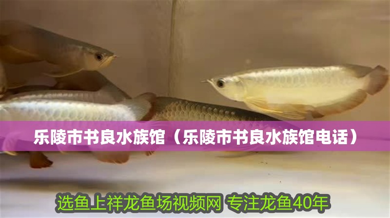 樂陵市書良水族館（樂陵市書良水族館電話）