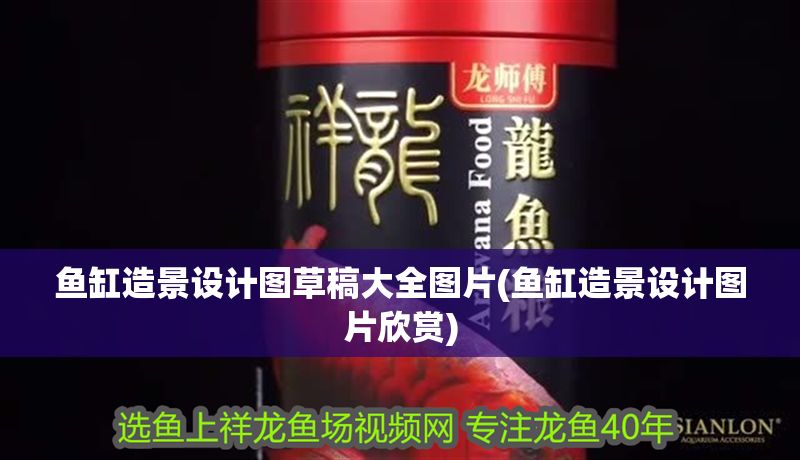 魚缸造景設(shè)計圖草稿大全圖片(魚缸造景設(shè)計圖片欣賞)