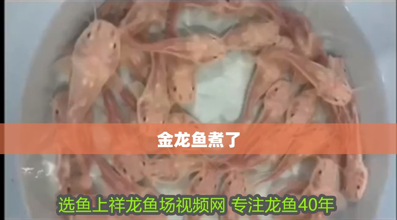 金龍魚煮了