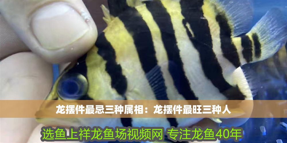 詳細(xì)閱讀:龍擺件最忌三種屬相:龍擺件最旺三種人 龍擺件最忌三種屬相:龍擺件最旺三種人