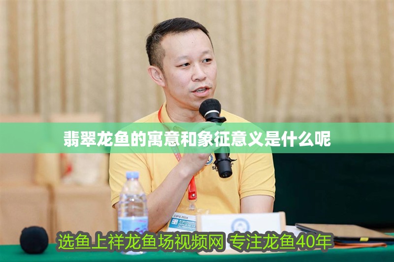 翡翠龍魚的寓意和象征意義是什么呢