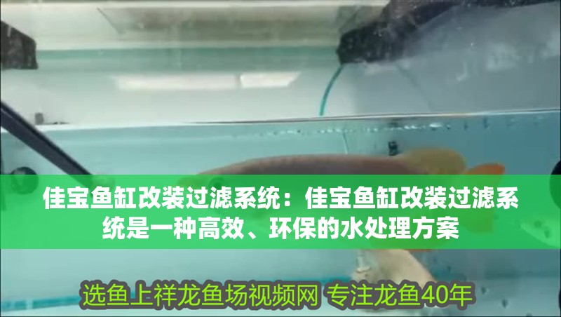 佳寶魚缸改裝過濾系統：佳寶魚缸改裝過濾系統是一種高效、環保的水處理方案