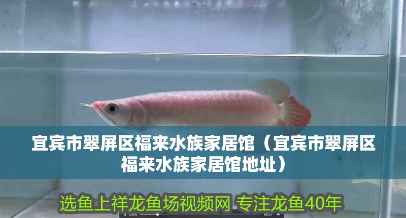 宜賓市翠屏區福來水族家居館（宜賓市翠屏區福來水族家居館地址）
