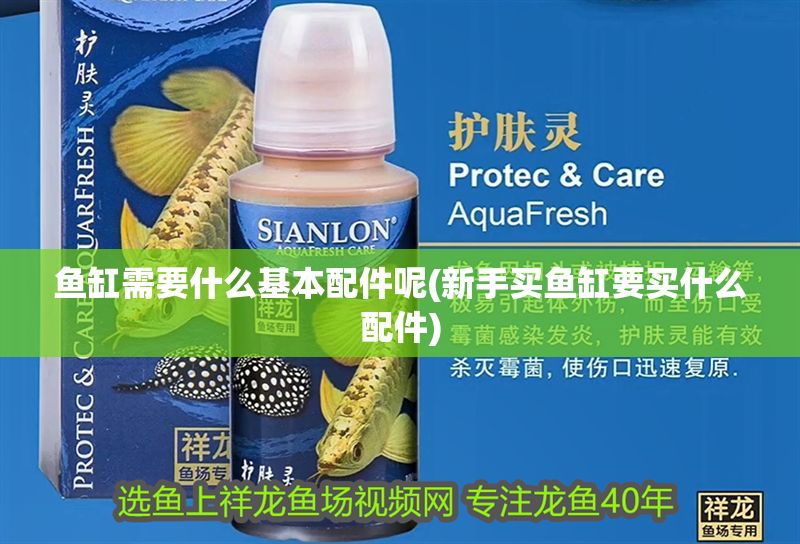魚缸需要什么基本配件呢(新手買魚缸要買什么配件)