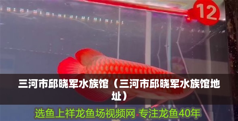三河市邱曉軍水族館（三河市邱曉軍水族館地址）