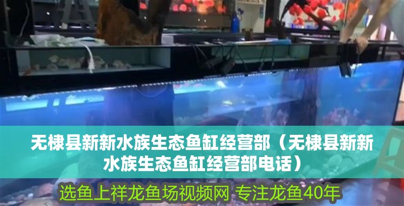 無棣縣新新水族生態魚缸經營部（無棣縣新新水族生態魚缸經營部電話）