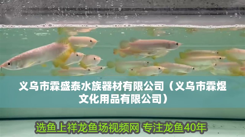 義烏市霖盛泰水族器材有限公司(義烏市霖煜文化用品有限公司) 全國水族館企業名錄 第2張 義烏市霖盛泰水族器材有限公司(義烏市霖煜文化用品有限公司) 義烏市霖盛泰水族器材有限公司(義烏市霖煜文化用品有限公司) 全國水族館企業名錄 第2張